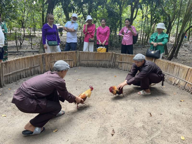 Đá Gà Miền Tây – Văn Hóa Giải Trí Đậm Chất Miền Sông Nước 1 Da Ga Mien Tay – Van Hoa Giai Tri Dam Chat Mien Song Nuoc